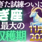 【山羊座♑金運】報われなかった10年がついに終わる✨11月後期は黄金の頂上へ【12星座】