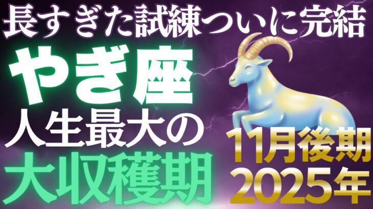 【山羊座♑金運】報われなかった10年がついに終わる✨11月後期は黄金の頂上へ【12星座】