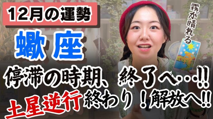 あなたの中に眠る創造の力が目指める！！【蠍座12月の運勢】