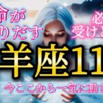 山羊座11月♑️きたー！運命がまわりだす🥹嬉しいお知らせがくる🎁一気に前進です✨必ず受けとって🌈