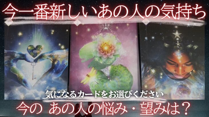 今一番新しいあの人のあなたへの気持ち、チェックしてみてください👀 【 恋愛 タロット オラクル カード 占い 】
