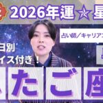 【ふたご座占い】2026年双子座の運勢を大解説★年運＆全誕生日アドバイス【占い師早矢】