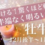 おうし座♉️2025年12月後半〜2026年1月前半🌝 やっぱり天は味方する！一気に良くなる風向き！もう抜ける、しんどさの先、扉が開いた安堵感、