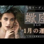 【蠍座さんの2026年1月の運勢🌈】叶える夢🦋自分の道は自分で決める✨💖
