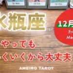 【水瓶座12月後半】どうやっても上手くいく‼️心配しすぎなくて大丈夫🕊️✨お仕事、パワー強いです🔥