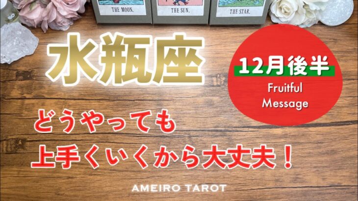 【水瓶座12月後半】どうやっても上手くいく‼️心配しすぎなくて大丈夫🕊️✨お仕事、パワー強いです🔥