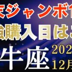♉️牡牛座の金運♉️2025年年末のおうし座の宝くじ運～年末ジャンボ10億　最強購入日はここ～タロット＆星座占い