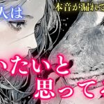 【本音が溢れてました🔮】あの人は会いたいと思ってる？🌙タロット オラクルカードで深掘りリーディング✨