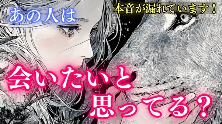 【本音が溢れてました🔮】あの人は会いたいと思ってる？🌙タロット オラクルカードで深掘りリーディング✨