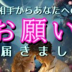 【今までごめん😭】お相手からあなたへのお願いが届いてます🙏恋愛タロット占い