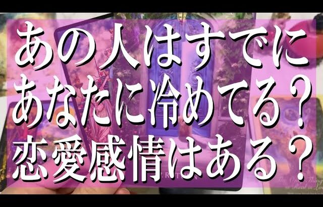 あの人はすでにあなたに冷めてる?恋愛感情はある?【全く忖度なし辛口鑑定タロット占い】