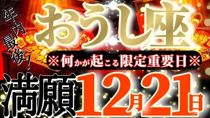 牡牛座さんへ12月後半この日が凄い👑【断然！忘れられない😳自分史に残るかけがえのない最高の思い出です💐】✡️キャラ別鑑定付き✡️　