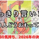 核心直撃💥いま私のことどう思ってる？あの人の“あなたへの想い”を男心×タロットで深層解明🧠彼のこの瞬間の気持ち・2026への決意…全部まるごと代弁します❤️更に男心引き寄せのアドバイスさせて頂きます