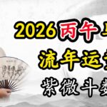 2026年丙午年马年运势紫微斗数详解