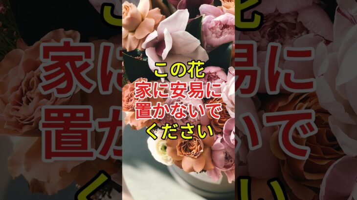 この花、家に入れないでください｜風水で見る運気を乱す花