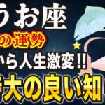 【※うお座】”たった2つ”の行動で人生が変わる！今年最後のビッグチャンスが訪れます。【12星座占い】