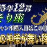 【さそり座♏】蠍座のあなた、見逃すと損します。12月の年末ジャンボの購入日は大吉兆日この日一択です。【12星座占い】