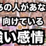 【激白！】あの人があなたに向ける強い感情です。個人鑑定級に当たる占い｜恋愛タロット❤️｜ルノルマン｜オラクルカード細密リーディング