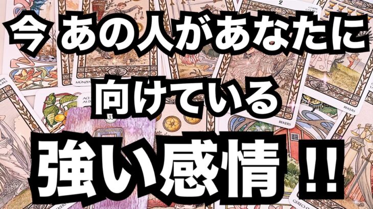 【激白!】あの人があなたに向ける強い感情です。個人鑑定級に当たる占い|恋愛タロット❤️|ルノルマン|オラクルカード細密リーディング