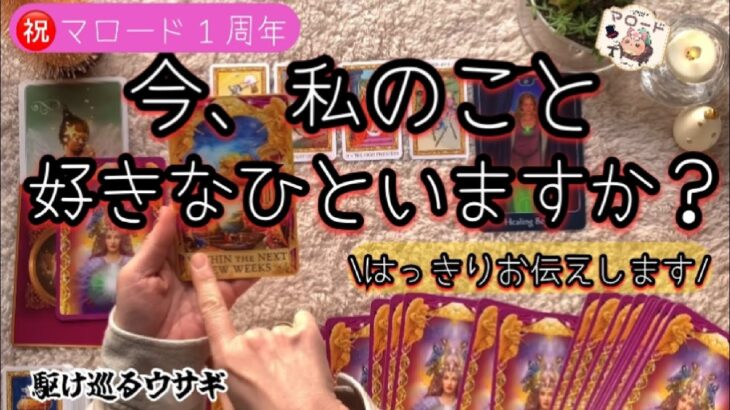 【㊗1周年🎂】徹底深堀🤯辛口🌶️選択肢もあり⚠️貴方を強く想っている人がいるようです🧑🏻‍❤️‍🧑駆け巡るウサギ🐇