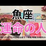 【魚座】運命のお相手💕🌟特徴/相手からの印象/時期やシチュエーション/2人の未来💖タロット占い🔮