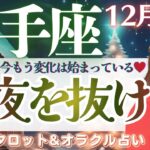 【射手座】超スピ回。祝福の扉、開きます。素敵な出会いを..♥️【仕事運/対人運/家庭運/恋愛運/全体運】12月後半 タロット占い