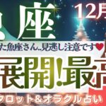 魚座さん。凄強の大吉運、来ます。受け取る準備を…♥️【仕事運/対人運/家庭運/恋愛運/全体運】12月後半 タロット占い