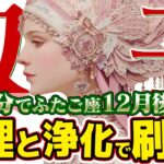 【15分でわかる！ふたご座12月後半】思考の大掃除！ 頭の中を空っぽにすれば、幸運が入ってくる【癒しの眠れる占い】