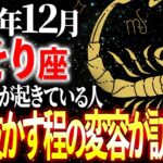 【蠍座】※19秒以内に確認！過去が完全に消えます。新しい人生が動き出す12月 | 天音の12星座