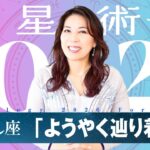 ♉️おうし座さんへ【2026年保存版】試す自由と、落ち着く場所を手に入れる年！！