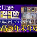 【牡牛座♉️12月運勢】うわっすごい！個人鑑定級のグランタブローリーディング✨最高の年末年始が待ってます✨特に新年の満月はありえない奇跡の扉が開く（仕事運　金運）タロット＆オラクル＆ルノルマンカード