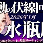 1月の運勢🎉みずがめ座　やーーっと報われる‼️よく頑張ったね❗️涙出そう😢✨(お金・仕事・人間関係)