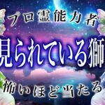 【獅子座🔮】特に◯月。2026年を霊視で判明した事実がヤバい…