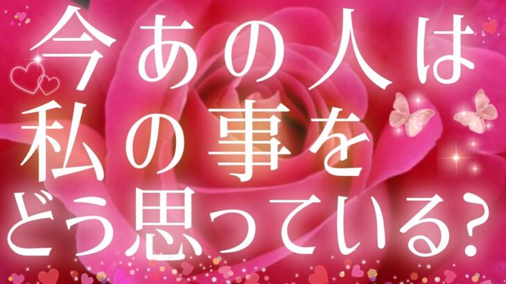ドキドキ💓🧚今あの人は私＆僕の事をどう思っていますか？🌈タロット&オラクル恋愛鑑定🦄🩷🩵🎁