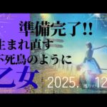 【2025.12月🎁】乙女座さんの運勢♍️準備完了!!生まれ直す✨不死鳥のように🐦‍🔥