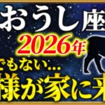 【牡牛座 2026年の運勢】21時55分までに確認して！良いことが次々と起こる1年が始まります【12星座占い】