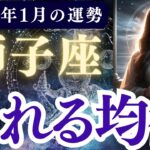 【獅子座】2026年1月 しし座の運勢「崩れる均衡」