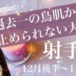 いて座♐️2025年12月後半〜2026年1月前半🌝 まじで凄すぎ笑、華麗なる復活、不可能が何故か可能に、変化の幅が凄まじい、好転の渦の中