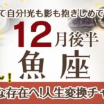うお座さんへ♎️【12月後半】☆人生を変えるチャンス到来☆過去があったから今がある☆自分の光も影も抱きしめよう♦︎直感/イメージ/掴み取るアクション ポイント…未来への閃き☆アファメーションで引き寄せ