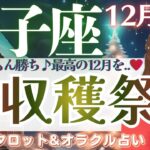 【双子座】大収穫祭きた〜！！楽しんだもん勝ち！最高の12月を…♥️【仕事運/対人運/家庭運/恋愛運/全体運】12月後半 タロット占い