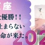 2026年、記憶に焼きつく年になる。人生史に刻まれる。動きます、とても。【2026年の運勢　射手座】