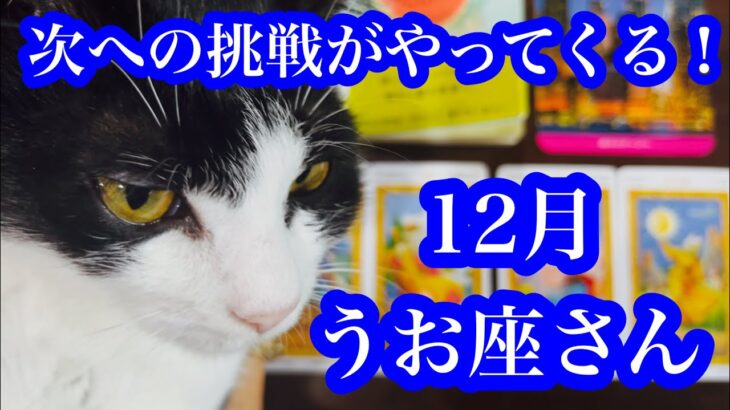 活躍！そして次へ繋がる！12月のうお座さん　Success! And the next step! Pisces in December