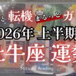 【牡牛座】怒涛の展開！とてつもない強い運気で駆け抜ける！2026年運勢【癒しのタロット個人鑑定級】