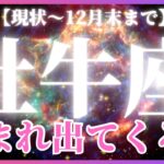 【牡牛座♉️12月後半】✨神回!!😊🙌なんと祝福🎊と新しい始まりを告げるカードが勢ぞろい〜！✨✨（タロットカードリーディング）