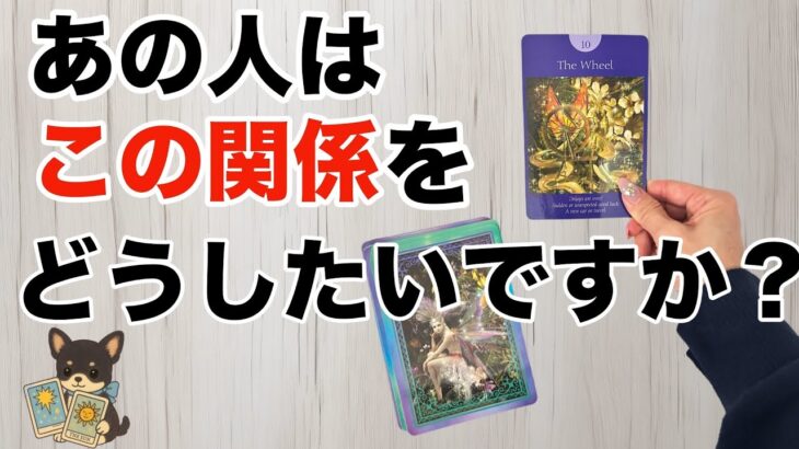 【あの人の本心教えます‼️】私との関係をどうしたいですか？🥺💗🥺