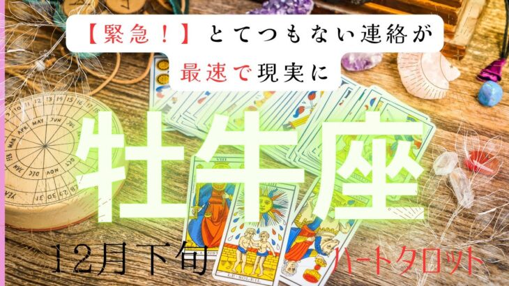 【緊急❗️】とてつもない連絡が最速で現実に❗️ 12月下旬　牡牛座　ヘキサグラムタロット占い　#タロットカード#タロット#運勢#12月#とてつもない連絡#恋愛#占い#タロット占い#牡牛座