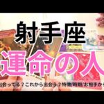 【射手座】運命のお相手💕🌟特徴/相手からの印象/時期やシチュエーション/2人の未来💖タロット占い🔮