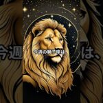 獅子座の12月8日から14日の運勢 #獅子座 #星占い