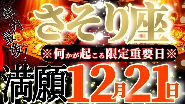 蠍座さんへ12月後半この日が凄い👑【断然！遊び尽くす😳発見！発掘！掘り出し物の宝庫🎁】✡️キャラ別鑑定付き✡️　