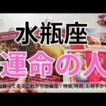 【水瓶座】運命のお相手💕🌟特徴/相手からの印象/時期やシチュエーション/2人の未来💖タロット占い🔮
